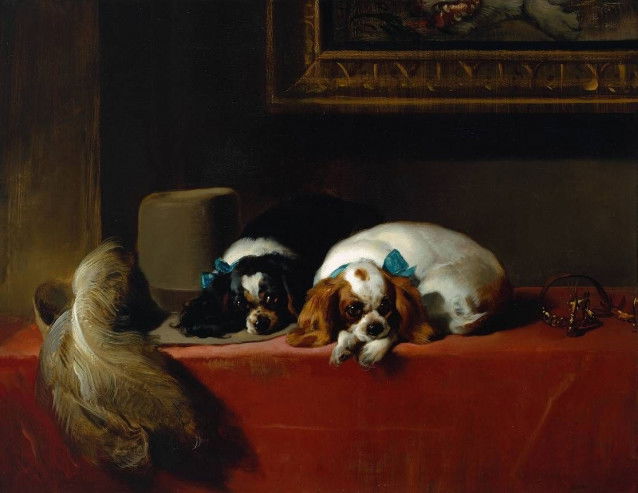 Le tableau « The Cavalier’s Pet », d'Edwin Henry Landseer, qui représente deux Épagneuls King Charles allongés sur une table