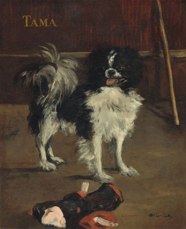 Le tableau « Tama : le chien japonais », d'Edouard Manet, qui représente un Épagneul Japonais