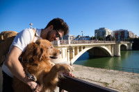Un Golden Retriever et son maître devant un pont à Séville en Espagne