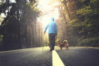 Un homme promenant son chien sur une route au milieu d'une forêt