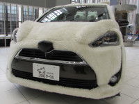 Une découverte inattendue