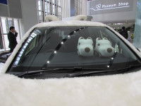 Une découverte inattendue