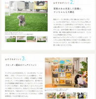 Oui, ceci est un magasin de vente de... voitures !