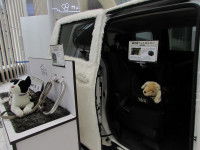 Une découverte inattendue