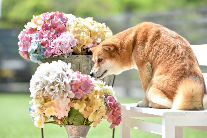 Réel ou artificiel ?