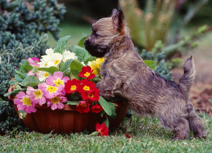 On touche avec les yeux