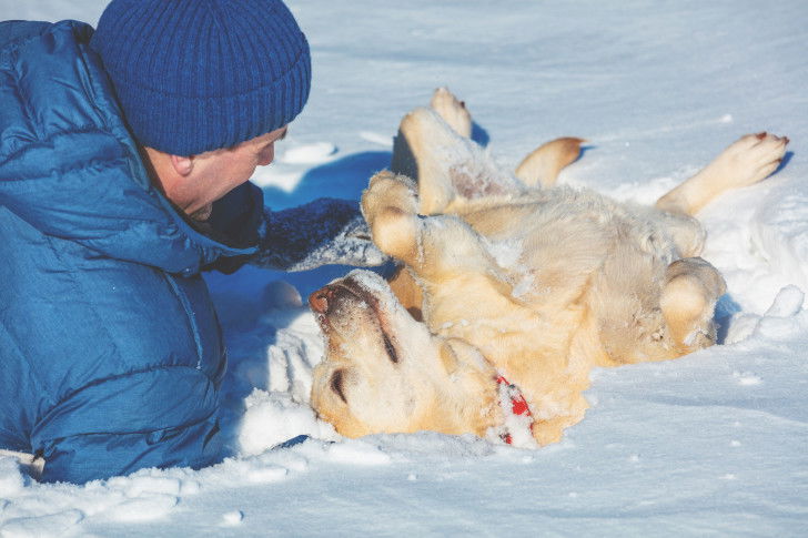 Un homme et son Labrador sont couchés dans la neige