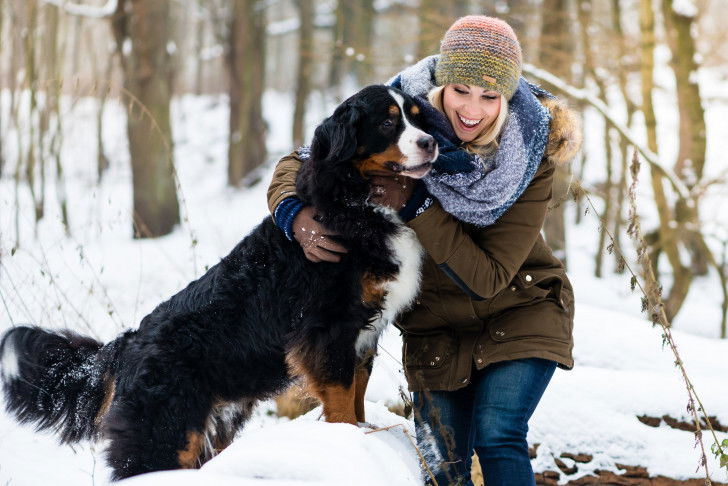 Un Bouvier Bernois et sa maîtresse dehors dans le froid