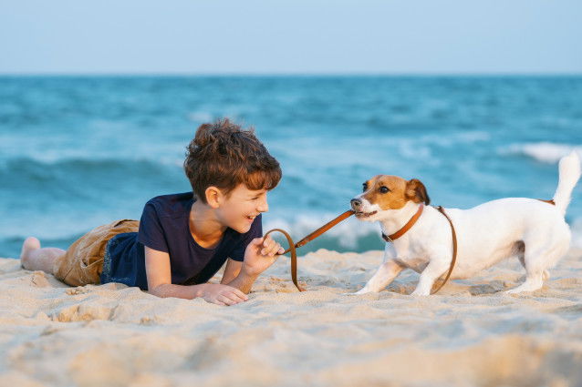 Un jeune garçon et son chien jouent sur le sable