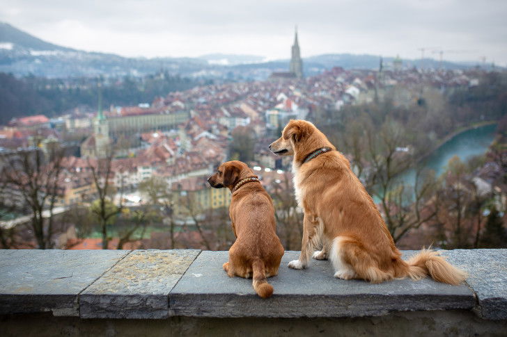 Vue depuis les hauteurs