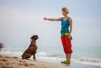 Une femme relève la main qui une une récompense devant son chien