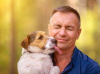 Un petit chien lèche le visage d'un homme