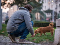 Un homme accroupi tente d'attirer l'attention de son chien
