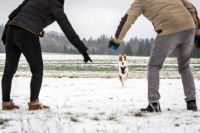 Un couple de promeneurs rappelle son chien en lui montrant un jouet
