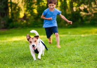 Un petit garçon court après son chien en train de s'enfuir