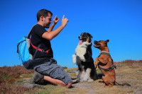 Eduquer ou dresser un chien en le faisant imiter ses congénères