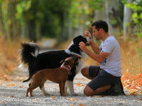 L’apprentissage d’un comportement ou d’un ordre