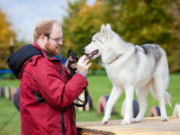 Le système de récompense