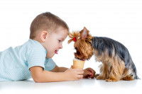 Les Enfants et les Chiens