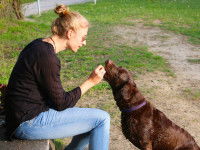 Quelques astuces pour instaurer la hiérarchie familiale