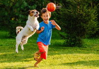 Un jeune garçon et son chien jouent au ballon dans le jardin
