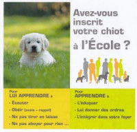 Que peut apporter l'école du chiot au maître ?