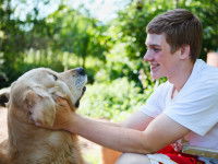 Prendre son temps pour éduquer son chien