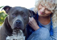 Les méthodes d'éducation canine