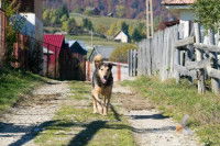 Un peu d’analyse psychologique pour finir...