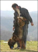 L'ethnologue de terrain Joseph Ortega, auteur de la méthode naturelle, et son chien