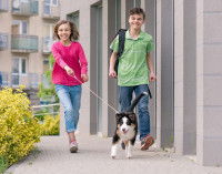 Deux adolescents promènent un jeune chien dans la rue