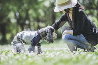 Une femme avec un chapeau caresse son chien dans le jardin