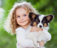 Quel âge a un chiot en âge humain ?