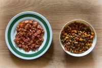 Une assiette de croquettes et une assiette de pâtée