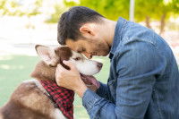 Un chien et un homme face à face, front contre front.