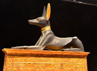 Une statue du dieu Anubis couché sur une tombe dorée et couverte de hiéroglyphes.
