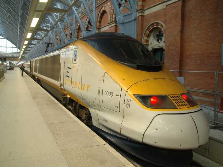 Voyager En Train Avec Son Chien