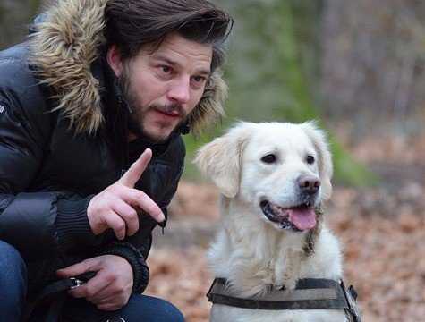 Chien Ou Chat Qui Est Le Plus Intelligent