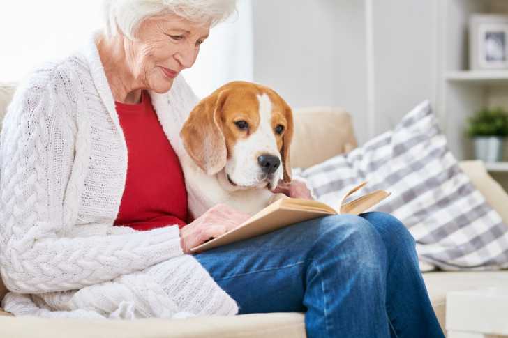 20 races de chien recommandées pour une famille