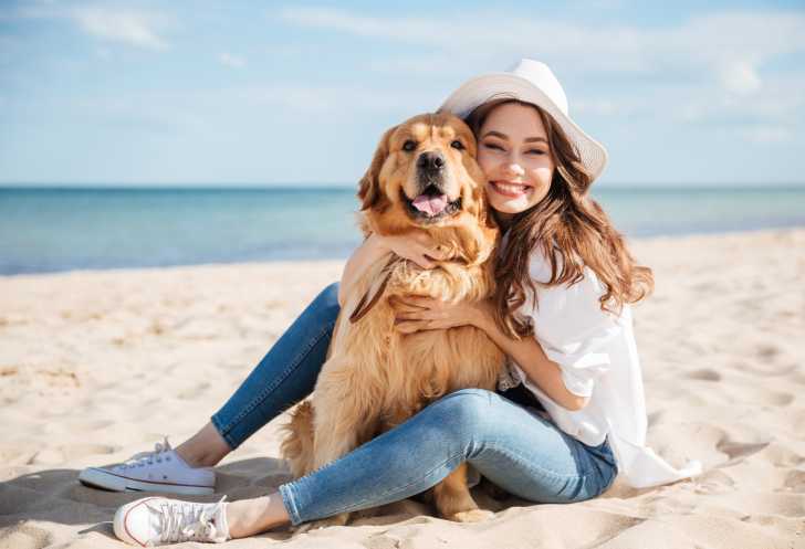 20 races de chiens à poil long
