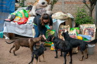 Une collecte de croquettes pour un refuge animalier