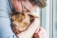 Un homme serre un chien dans ses bras après son adoption en refuge