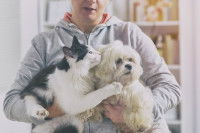 Un pet-sitter avec un chien et un chat dans les bras