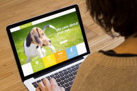 Une femme regardant un site internet consacré aux chiens