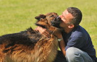 Un maître fait un gros câlin à son chien