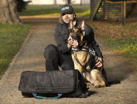 Dans quel cadre exercer le métier de maître-chien ?