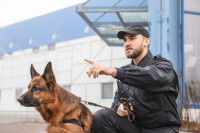 Un agent de sécurité cynophile et son chien devant un établissement à surveiller