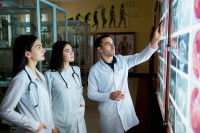 Trois ostéopathes comparant plusieurs images rayon x