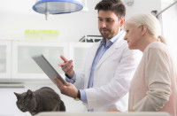 Un ostéopathe explique son analyse à la maitresse du chat