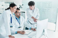 Des vétérinaires observent des résultats sur un ordinateur
